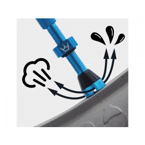 PEATYS X CHRIS KING (MK2) TUBELESS VALVES 42MM (BLACK)