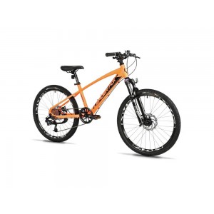 Leader Fox CAPITAN CHLAPECKÝ 24 2025 (Neon Orange)