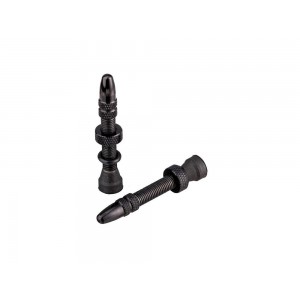 SPANK Tubeless Ready Valves - 2pcs