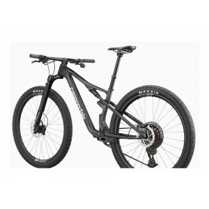 Cannondale SCALPEL 29 CARBON 1 (RAW)