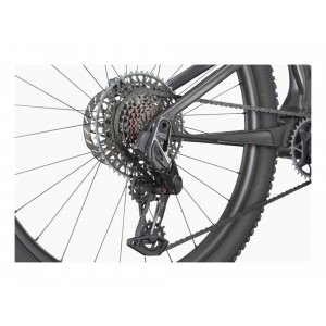 Cannondale SCALPEL 29 CARBON 1 (RAW)