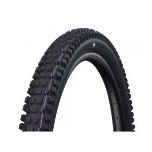 Schwalbe plášť Albert 29x2.60 GRAVITY PRO TLR AddixUltraSoft radial skládací